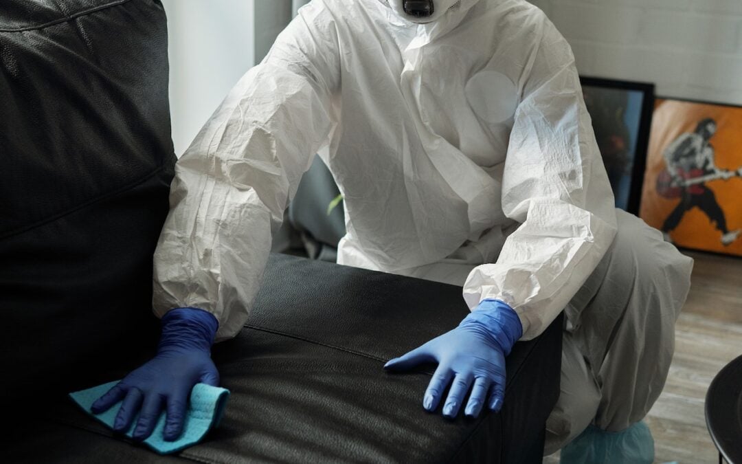 Expert Upholstery Cleaning Tips for Longer-Lasting Furniture 