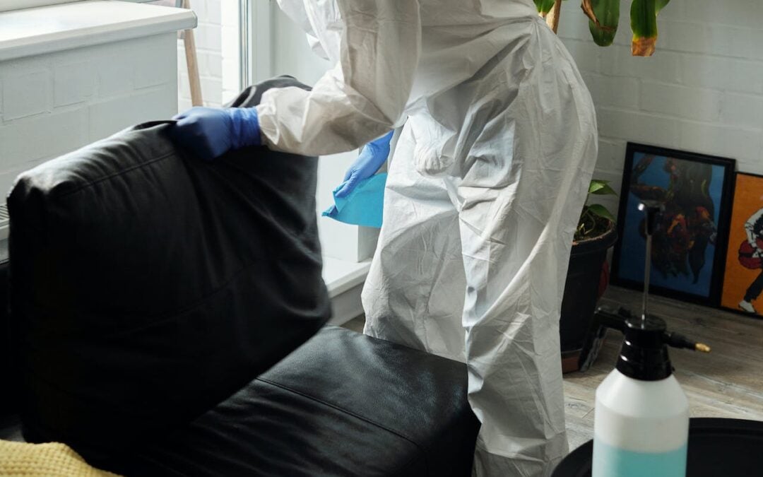 The Art of Furniture Cleaning: Tips and Techniques for a Fresher, Cleaner Home