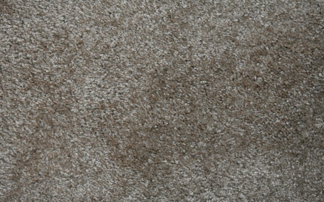 What to Do When Your Carpet Has Water Damage in Hudson